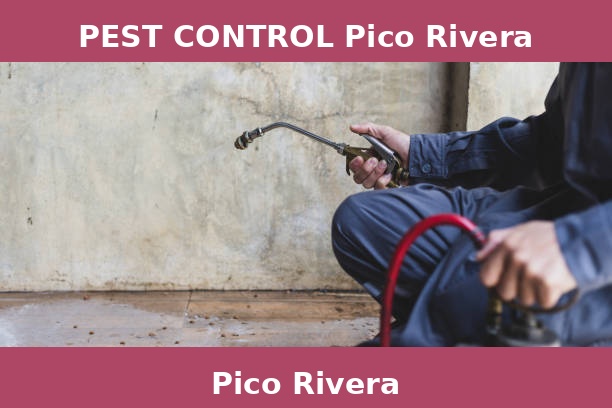 PEST CONTROL Pico Rivera